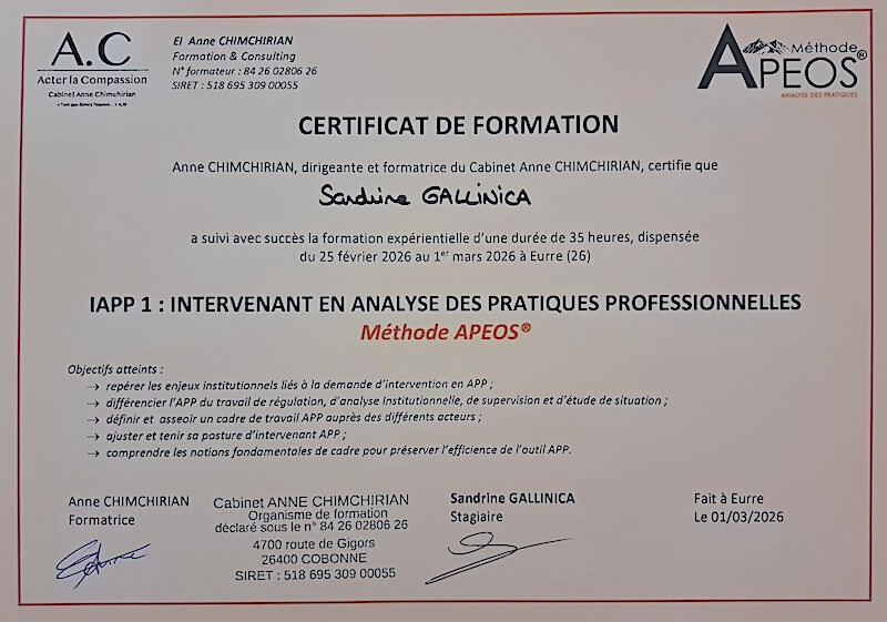 IAPP 1 : Intervenant en analyse des pratiques professionnelles, méthode APEOS — Sandrine Gallinica